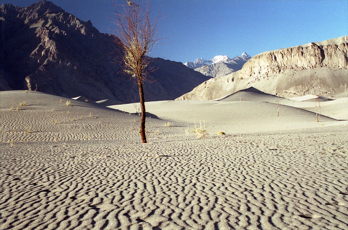 20 Sand Dunes Near Skardu There are beautiful, silvery-grey sand dunes near Skardu.